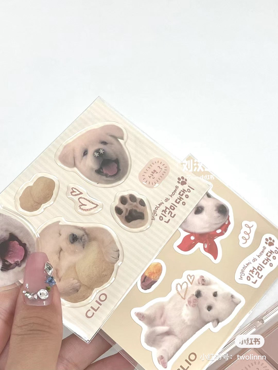 Clio 小猫小狗眼影盘