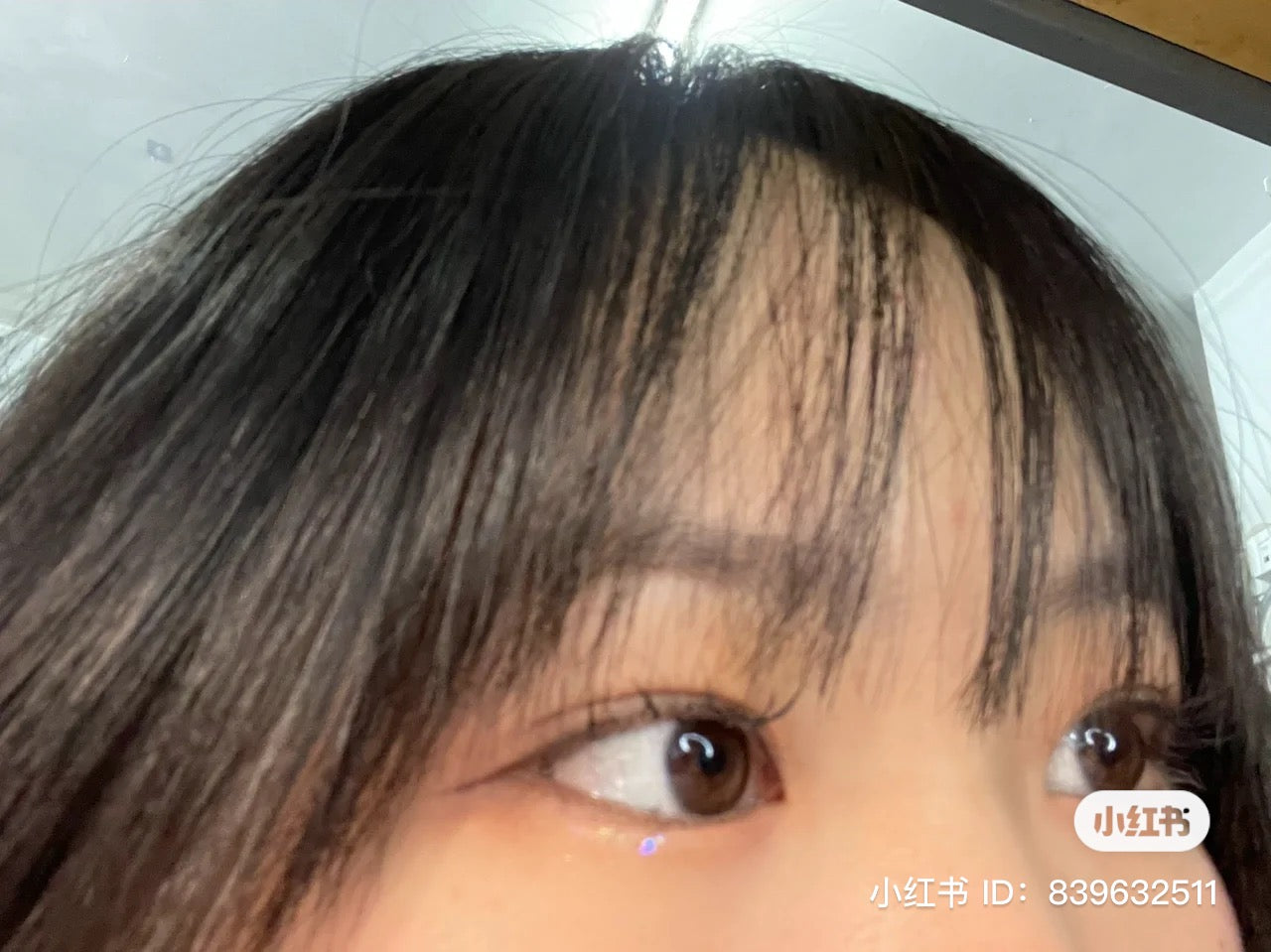 「新手推荐!」Everbab 假睫毛套装